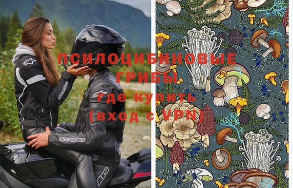 дживик Балахна