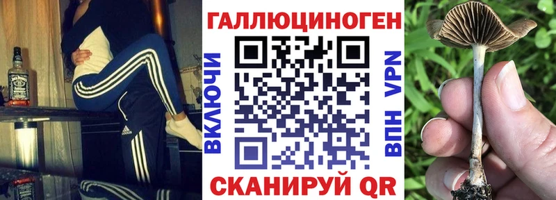 наркошоп  Лабытнанги  Галлюциногенные грибы прущие грибы 